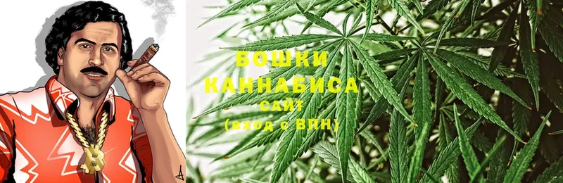 кракен вход  где можно купить   Спасск-Рязанский  Шишки марихуана OG Kush 